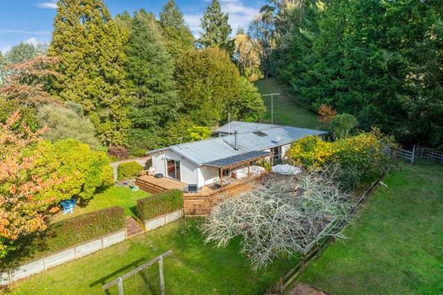 175 Forest Road Oruanui_1