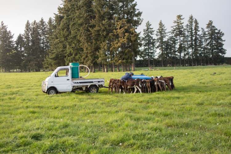 793 Peel Forest Road Mesopotamia_11