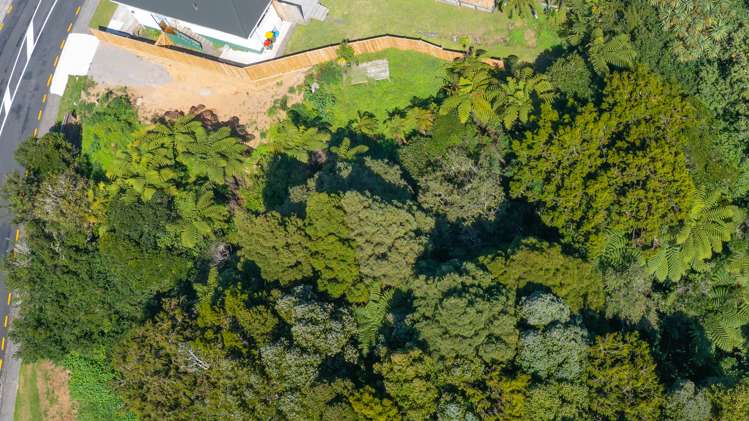 40a Parsons Street Vogeltown_8