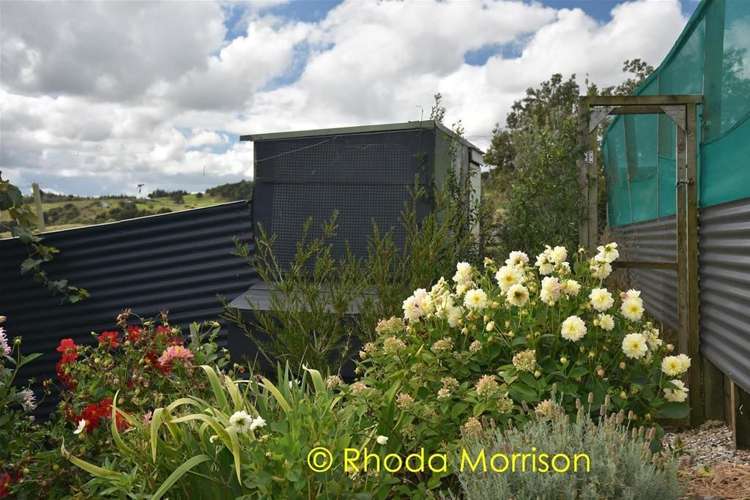 208 Heatley Road Whakapirau_33