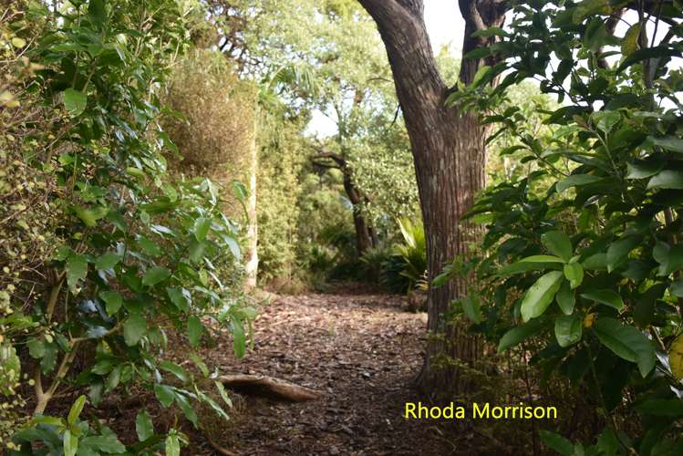 23 Te Wairoa Lane Tinopai_28