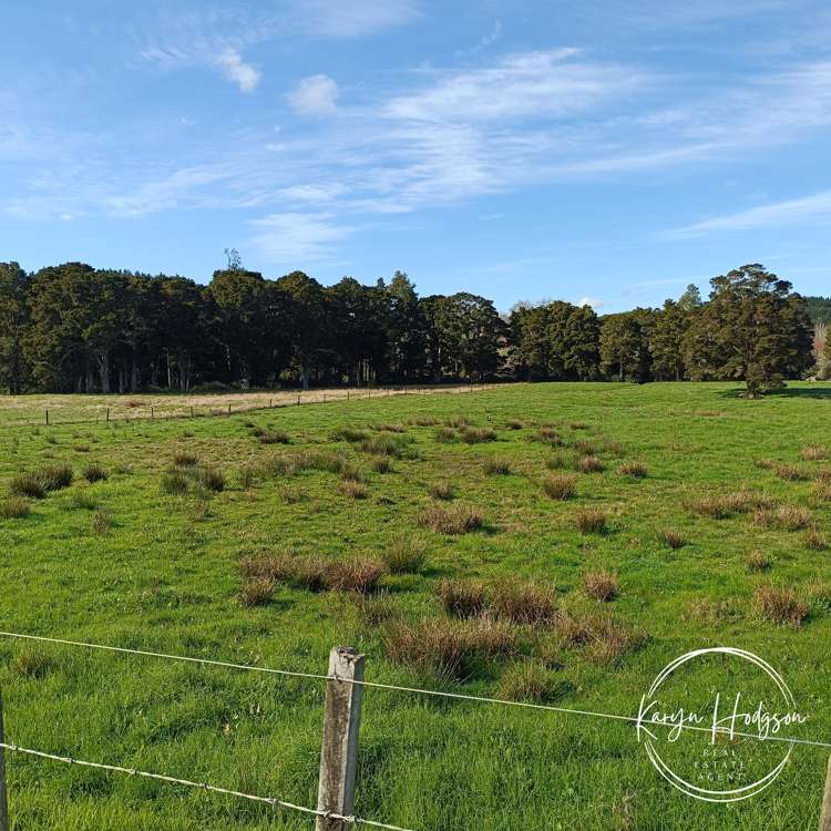 Lot 3/504 Wairere Road_0