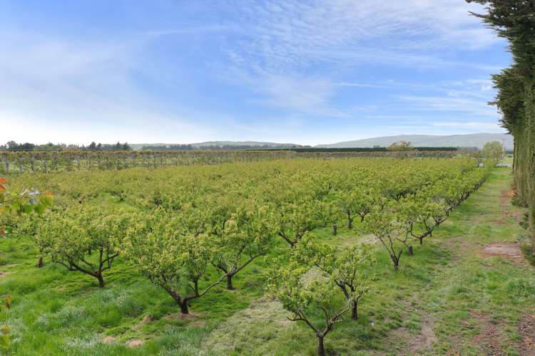 152 Ashworths Road Amberley_21