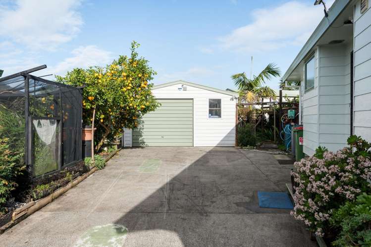 19 Metro Avenue Nawton_22