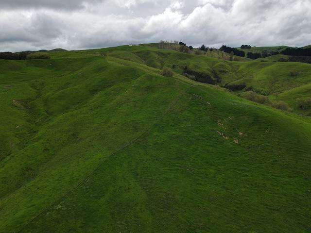 2256 Weber Road Dannevirke_3
