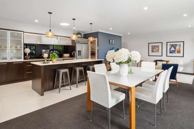 8 Tui Drive Picton_2