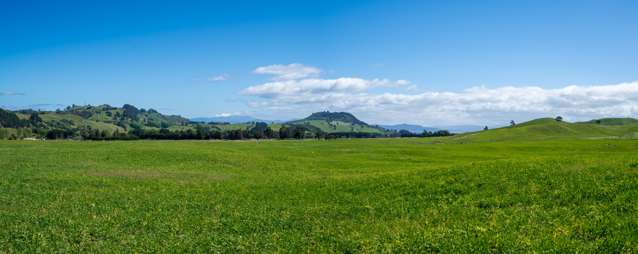 658 Tukairangi Road Kinloch_1