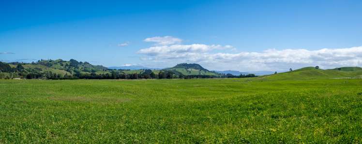 658 Tukairangi Road Kinloch_1