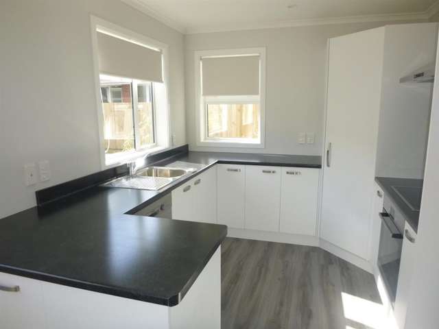 48b Wilford Street Wallaceville_1