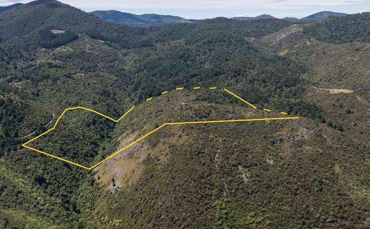 Lot 1 Rameka Creek Road Takaka_7