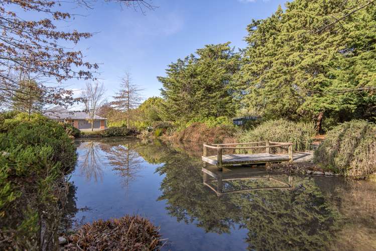 252 O'Roarkes Road Fernside_32