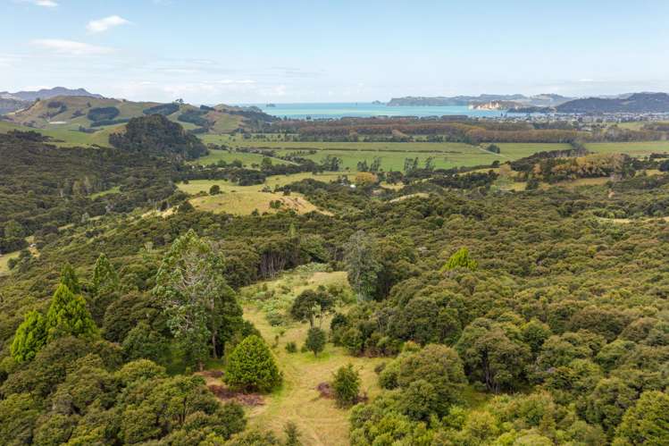 168 Moewai Road Whitianga_31