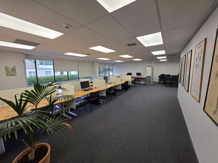 32 Manukau Road Epsom_7