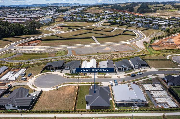 7 Te Ara Hikoi Pukekohe_15