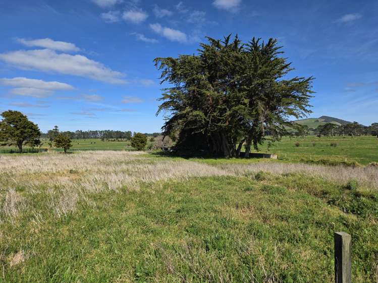 3945 State Highway 12 Aranga_11