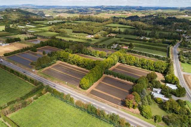 1433 State Hwy 10 Kerikeri_2