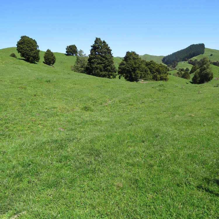 433 Pungapunga Valley Road Taumarunui_12