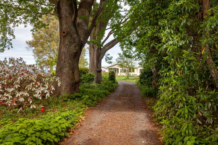 330 Rangitanuku Road Te Poi_19