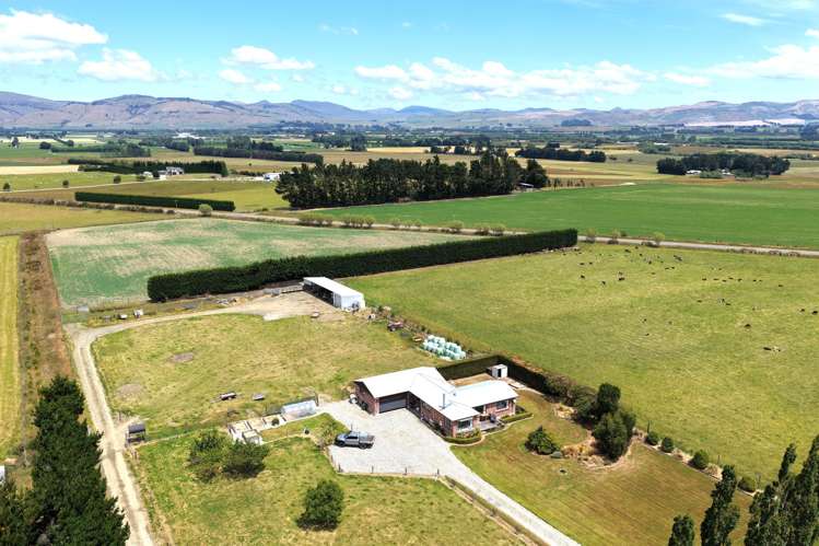 391A Otama Road Otama_4