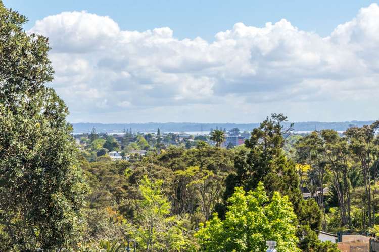 163a Golf Road Titirangi_22