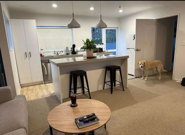 20C South Highway East, Whitianga