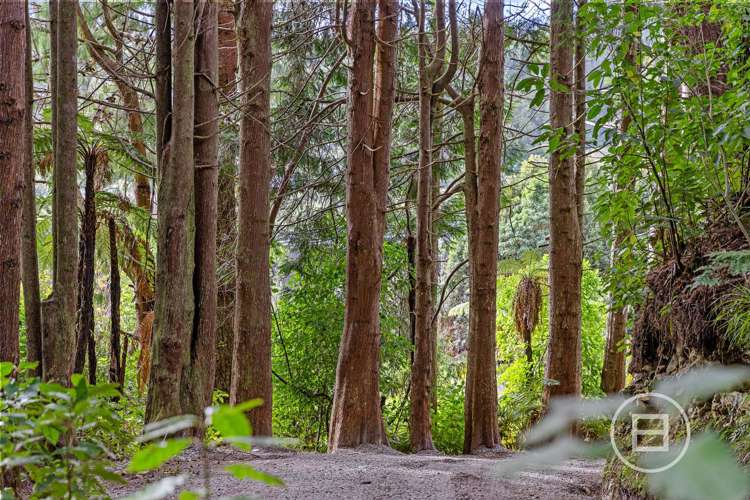 Rutherglen Road Marsden_3