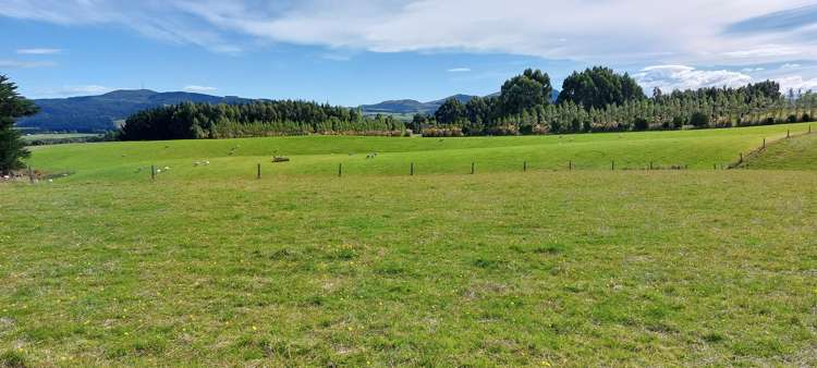 1216 Waimumu Road Waimumu_1