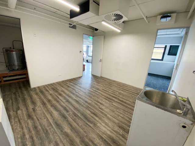 4 Williamson Avenue Grey Lynn_4