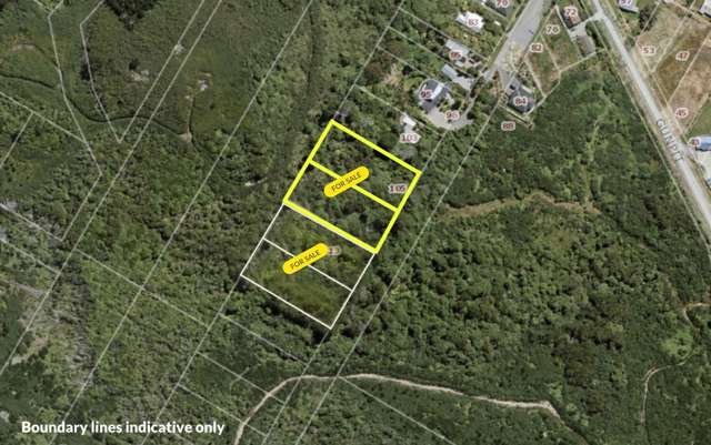 105 Walker Street Bluff_1