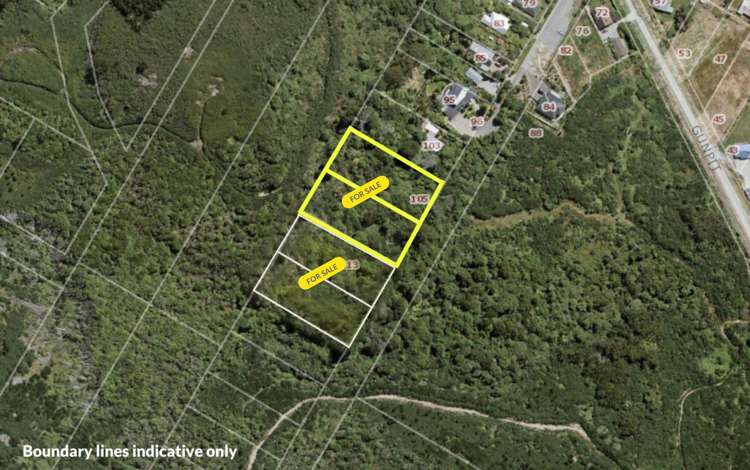 105 Walker Street Bluff_1