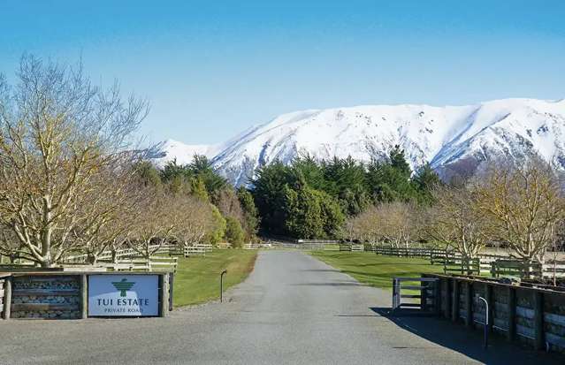 620 Coleridge Road Windwhistle_3