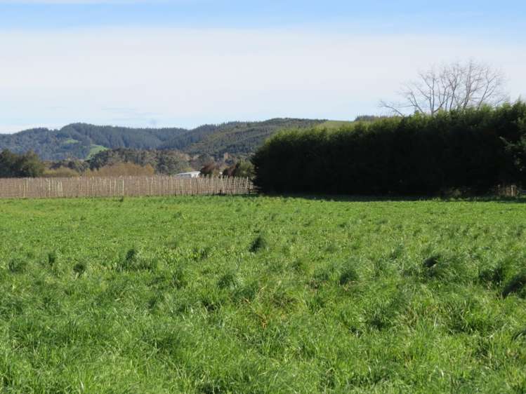 120 Palmer Road Brightwater_6