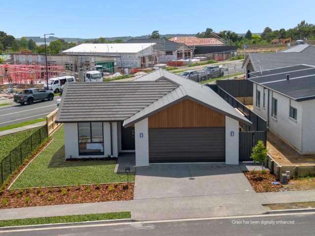 Family corner site with Elevated Sunny Site