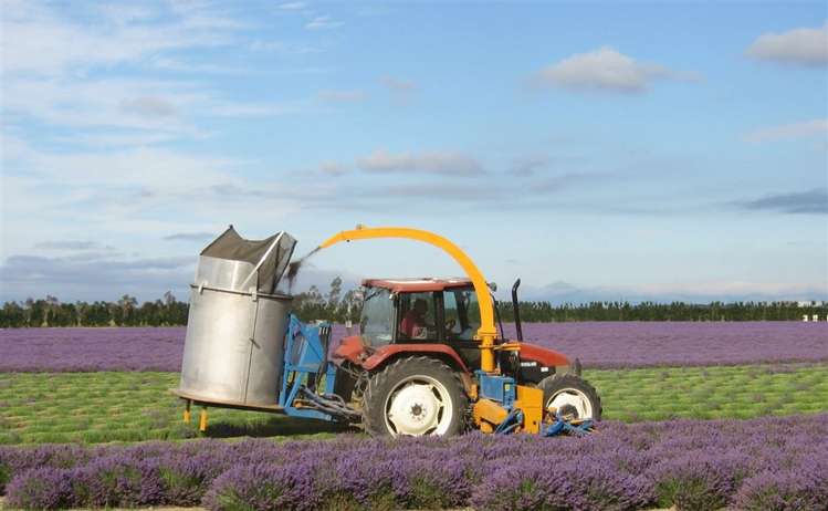 226 College Road Bankside_9