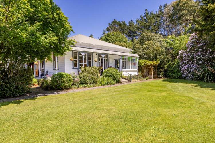 5 Sydney Street Takapau_16