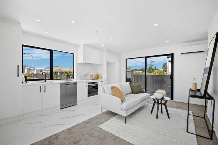 117A Edinburgh Street Spreydon_2