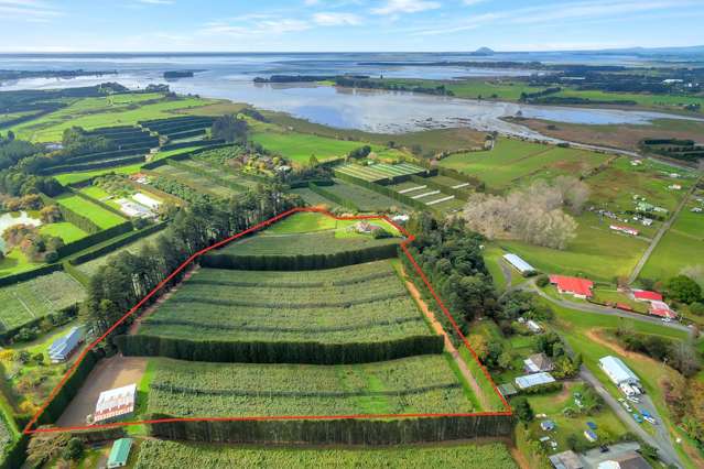 48C Tetley Road Katikati_1