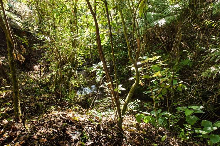 20 Russell Street Picton_8