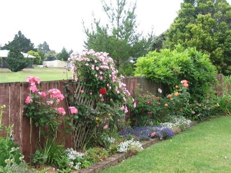 1217 Hikuai Settlement Road Pauanui_7