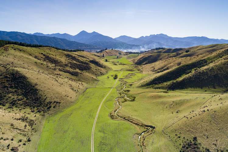 3459 State Highway 63 Wairau Valley_0