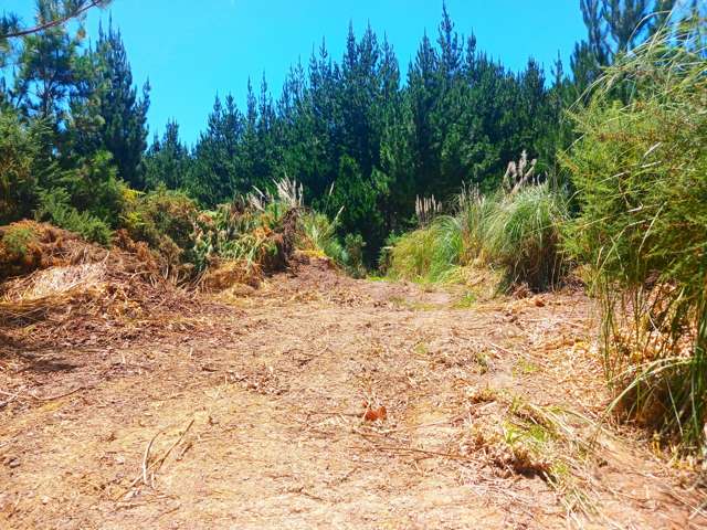 Lots 1 & 6 Broadwood-Awaroa Road Broadwood_3