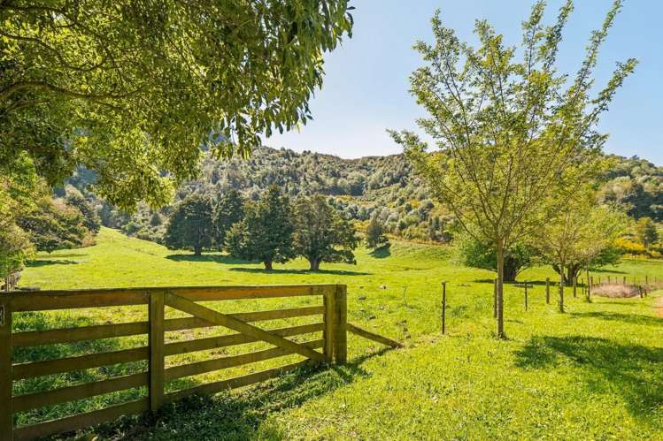 30 Twidles Road Havelock_5