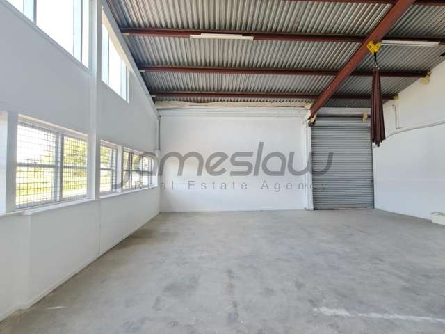 Mt Roskill 240sqm Visible Light Industrial