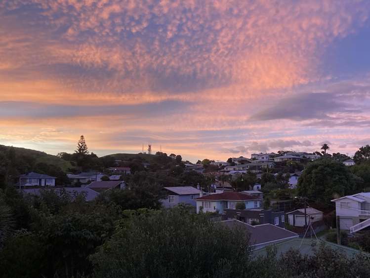 18 Parris Street Moturoa_29