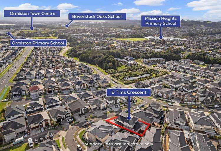 Tims Crescent Flat Bush_14