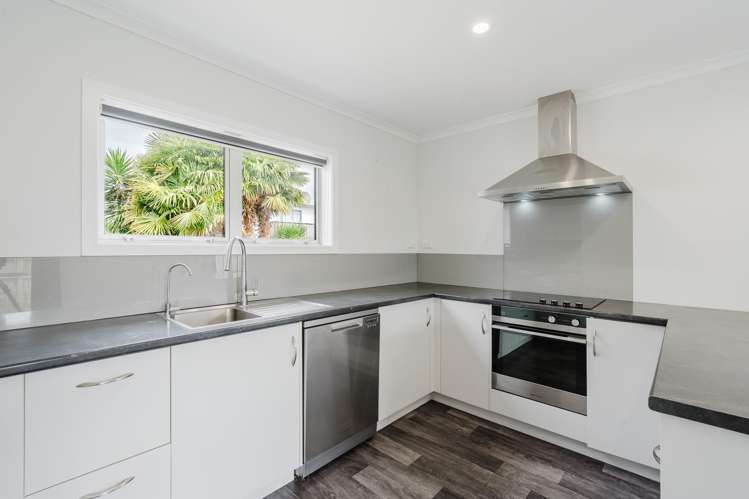 96 Bond Road Te Awamutu_2