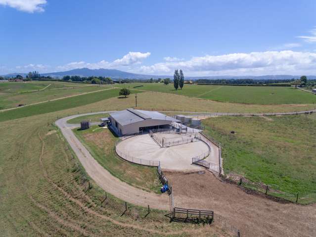 361 Mcgregor Road Ohaupo_1