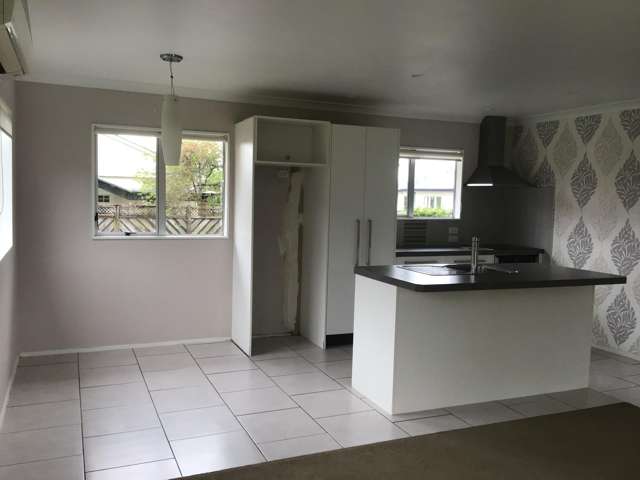 57A Allen Street Morrinsville_2