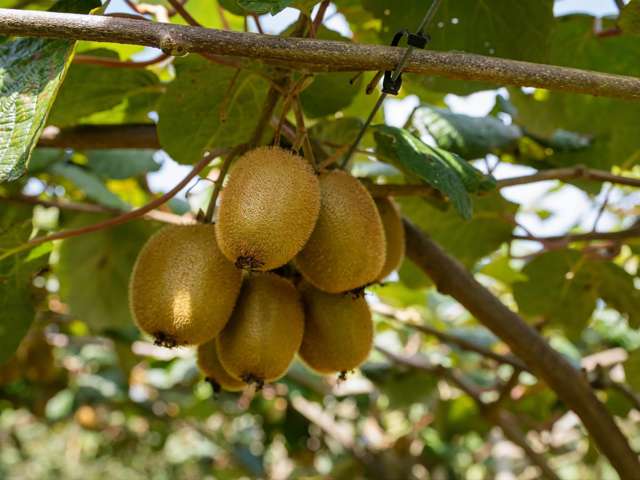 449 Crawford Road Te Puna_1