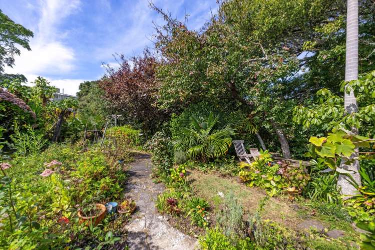 3 Rose Street Raglan_29